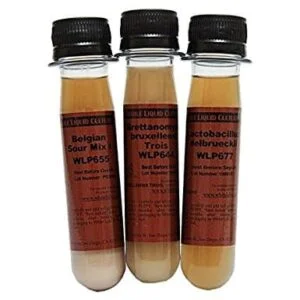 Bacterial Yeast