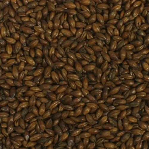 Chocolate Malt (Warminster)