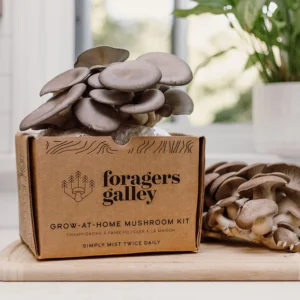 Blue Oyster Mushroom Growing Kit