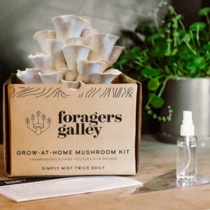 Snow Oyster Mushroom Growing Kit